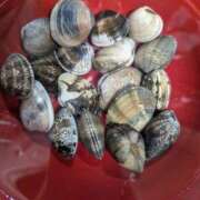 ヒメ日記 2025/04/06 08:38 投稿 ゆな 素人妻御奉仕倶楽部Hip's松戸店