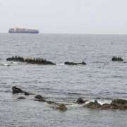 ヒメ日記 2025/04/10 12:38 投稿 ゆな 素人妻御奉仕倶楽部Hip's松戸店