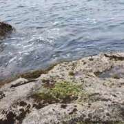 ヒメ日記 2025/04/10 13:08 投稿 ゆな 素人妻御奉仕倶楽部Hip's松戸店