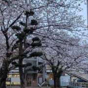 ヒメ日記 2025/04/10 18:09 投稿 ゆな 素人妻御奉仕倶楽部Hip's松戸店