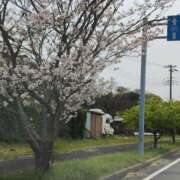 ヒメ日記 2025/04/10 21:18 投稿 ゆな 素人妻御奉仕倶楽部Hip's松戸店