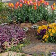 ヒメ日記 2025/04/11 09:29 投稿 ゆな 素人妻御奉仕倶楽部Hip's松戸店