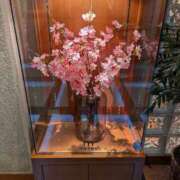 ヒメ日記 2025/04/12 10:03 投稿 ゆな 素人妻御奉仕倶楽部Hip's松戸店