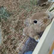 ヒメ日記 2025/04/13 18:29 投稿 ゆな 素人妻御奉仕倶楽部Hip's松戸店