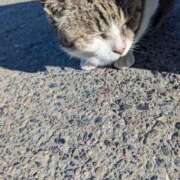 ヒメ日記 2025/04/22 09:36 投稿 ゆな 素人妻御奉仕倶楽部Hip's松戸店