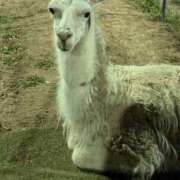 ヒメ日記 2025/04/24 07:34 投稿 ゆな 素人妻御奉仕倶楽部Hip's松戸店