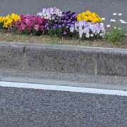 ヒメ日記 2025/05/04 13:26 投稿 ゆな 素人妻御奉仕倶楽部Hip's松戸店