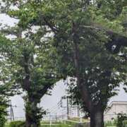 ヒメ日記 2025/05/12 10:16 投稿 ゆな 素人妻御奉仕倶楽部Hip's松戸店