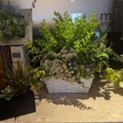 ヒメ日記 2025/05/18 01:25 投稿 ゆな 素人妻御奉仕倶楽部Hip's松戸店