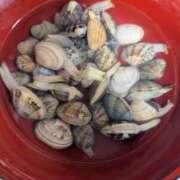 ヒメ日記 2025/05/18 08:45 投稿 ゆな 素人妻御奉仕倶楽部Hip's松戸店