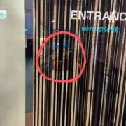 ヒメ日記 2025/05/22 13:05 投稿 ゆな 素人妻御奉仕倶楽部Hip's松戸店