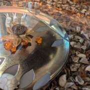 ヒメ日記 2025/05/30 18:45 投稿 ゆな 素人妻御奉仕倶楽部Hip's松戸店