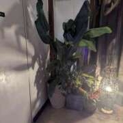 ヒメ日記 2025/06/23 15:09 投稿 ゆな 素人妻御奉仕倶楽部Hip's松戸店