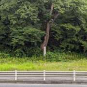 ヒメ日記 2025/07/04 18:31 投稿 ゆな 素人妻御奉仕倶楽部Hip's松戸店