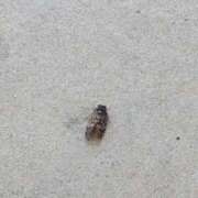 ヒメ日記 2025/07/26 16:26 投稿 ゆな 素人妻御奉仕倶楽部Hip's松戸店