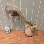 ヒメ日記 2025/07/26 23:26 投稿 ゆな 素人妻御奉仕倶楽部Hip's松戸店