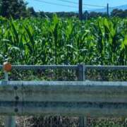 ヒメ日記 2025/08/03 08:20 投稿 ゆな 素人妻御奉仕倶楽部Hip's松戸店