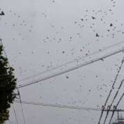 ヒメ日記 2025/08/12 18:17 投稿 ゆな 素人妻御奉仕倶楽部Hip's松戸店