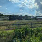 ヒメ日記 2025/08/13 00:17 投稿 ゆな 素人妻御奉仕倶楽部Hip's松戸店