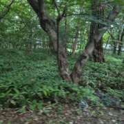 ヒメ日記 2025/08/13 19:47 投稿 ゆな 素人妻御奉仕倶楽部Hip's松戸店