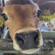 ヒメ日記 2025/08/14 11:37 投稿 ゆな 素人妻御奉仕倶楽部Hip's松戸店