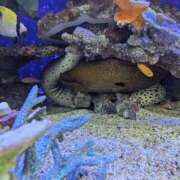 ヒメ日記 2025/08/15 04:07 投稿 ゆな 素人妻御奉仕倶楽部Hip's松戸店