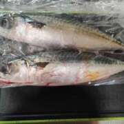 ヒメ日記 2025/08/22 19:47 投稿 ゆな 素人妻御奉仕倶楽部Hip's松戸店