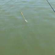 ヒメ日記 2025/08/24 17:03 投稿 ゆな 素人妻御奉仕倶楽部Hip's松戸店