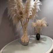 ヒメ日記 2025/08/27 22:49 投稿 ゆな 素人妻御奉仕倶楽部Hip's松戸店