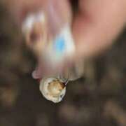 ヒメ日記 2025/09/15 15:59 投稿 ゆな 素人妻御奉仕倶楽部Hip's松戸店