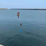 ヒメ日記 2025/09/18 18:13 投稿 ゆな 素人妻御奉仕倶楽部Hip's松戸店