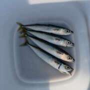 ヒメ日記 2025/09/18 20:09 投稿 ゆな 素人妻御奉仕倶楽部Hip's松戸店