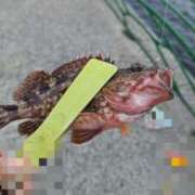 ヒメ日記 2025/09/25 22:10 投稿 ゆな 素人妻御奉仕倶楽部Hip's松戸店