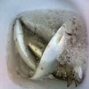 ヒメ日記 2025/10/17 14:29 投稿 ゆな 素人妻御奉仕倶楽部Hip's松戸店