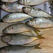 ヒメ日記 2025/10/18 08:19 投稿 ゆな 素人妻御奉仕倶楽部Hip's松戸店