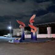 ヒメ日記 2026/01/07 04:09 投稿 ゆな 素人妻御奉仕倶楽部Hip's松戸店