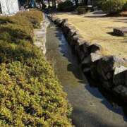 ヒメ日記 2026/01/08 23:09 投稿 ゆな 素人妻御奉仕倶楽部Hip's松戸店