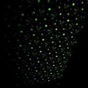 ヒメ日記 2026/01/23 20:29 投稿 ゆな 素人妻御奉仕倶楽部Hip's松戸店