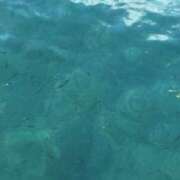 ヒメ日記 2026/01/31 09:29 投稿 ゆな 素人妻御奉仕倶楽部Hip's松戸店