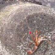 ヒメ日記 2026/01/31 10:49 投稿 ゆな 素人妻御奉仕倶楽部Hip's松戸店