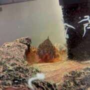 ヒメ日記 2026/02/06 08:29 投稿 ゆな 素人妻御奉仕倶楽部Hip's松戸店