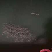 ヒメ日記 2026/02/11 06:49 投稿 ゆな 素人妻御奉仕倶楽部Hip's松戸店