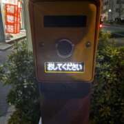 ヒメ日記 2026/02/12 19:39 投稿 ゆな 素人妻御奉仕倶楽部Hip's松戸店