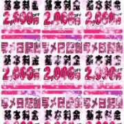 ヒメ日記 2026/02/17 13:48 投稿 ゆな 素人妻御奉仕倶楽部Hip's松戸店