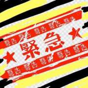 ヒメ日記 2026/02/26 20:19 投稿 ゆな 素人妻御奉仕倶楽部Hip's松戸店