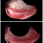 ヒメ日記 2026/03/06 11:38 投稿 ゆな 素人妻御奉仕倶楽部Hip's松戸店