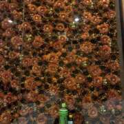 ヒメ日記 2026/03/06 17:23 投稿 ゆな 素人妻御奉仕倶楽部Hip's松戸店