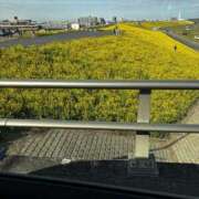 ヒメ日記 2026/03/10 11:39 投稿 ゆな 素人妻御奉仕倶楽部Hip's松戸店