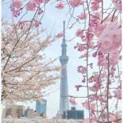 ヒメ日記 2026/03/17 00:59 投稿 ゆな 素人妻御奉仕倶楽部Hip's松戸店