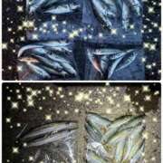 ヒメ日記 2026/03/21 01:39 投稿 ゆな 素人妻御奉仕倶楽部Hip's松戸店